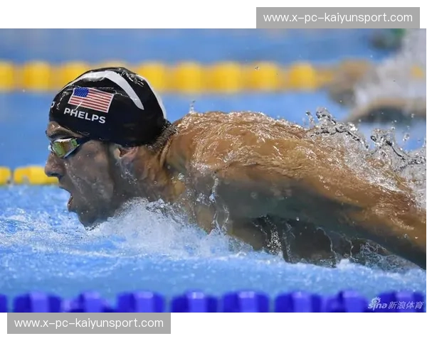 转会排球：风口下的机会与热情